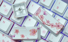 Load image into Gallery viewer, Sakura Keycaps OEM Height Five-sided Sublimation
