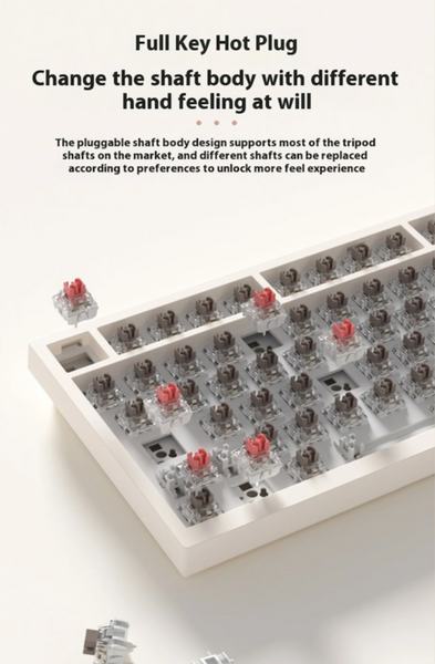 AK82 Teclado Mecánico de Tres Modos