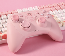 Load image into Gallery viewer, Pinky Bunny Controller - Dareu H101x - Nintendo Switch, PC &amp; Android Controller
